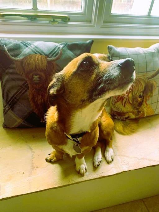 Gorgeous Cozy Cottage With A Heritage Feel, Walks, Pubs & Wood Burner Tideswell Kültér fotó